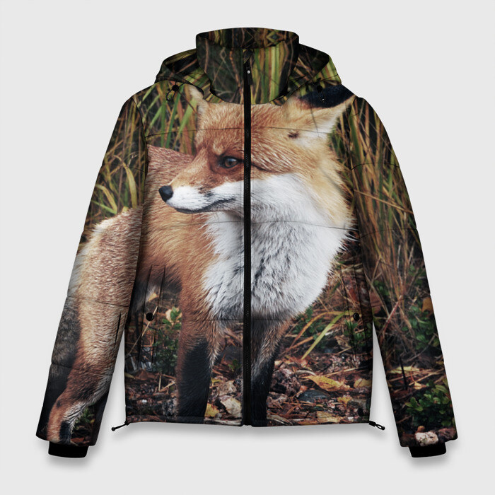 Мужская зимняя куртка 3D Лиса с пушистым хвостом фото