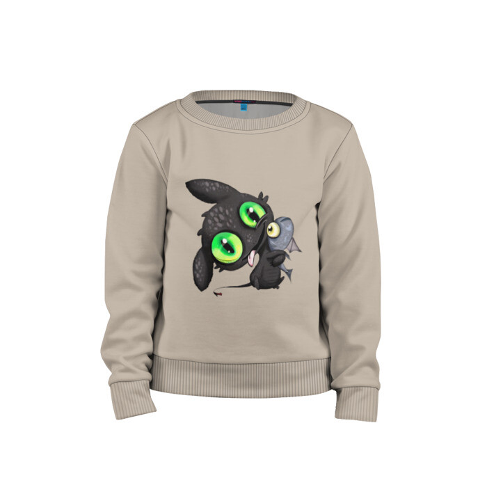 Детский свитшот хлопок ночная фурия фото