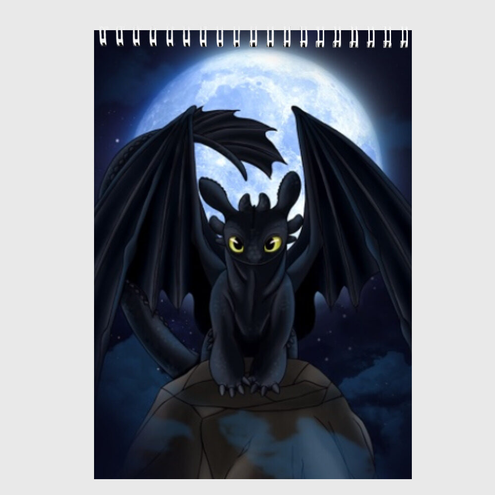 Скетчбук ночная фурия фото