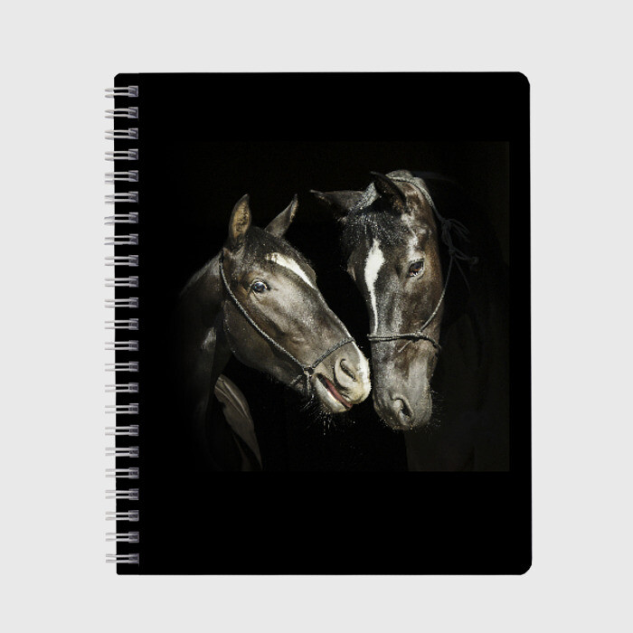 Тетрадь Лошади фото