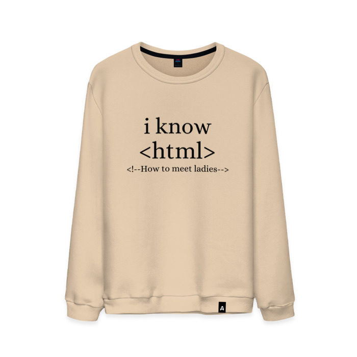 Мужской свитшот хлопок How to meet ladies (HTML) фото
