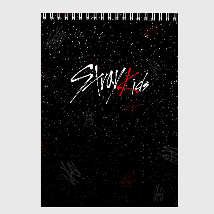 Скетчбук STRAY KIDS фото