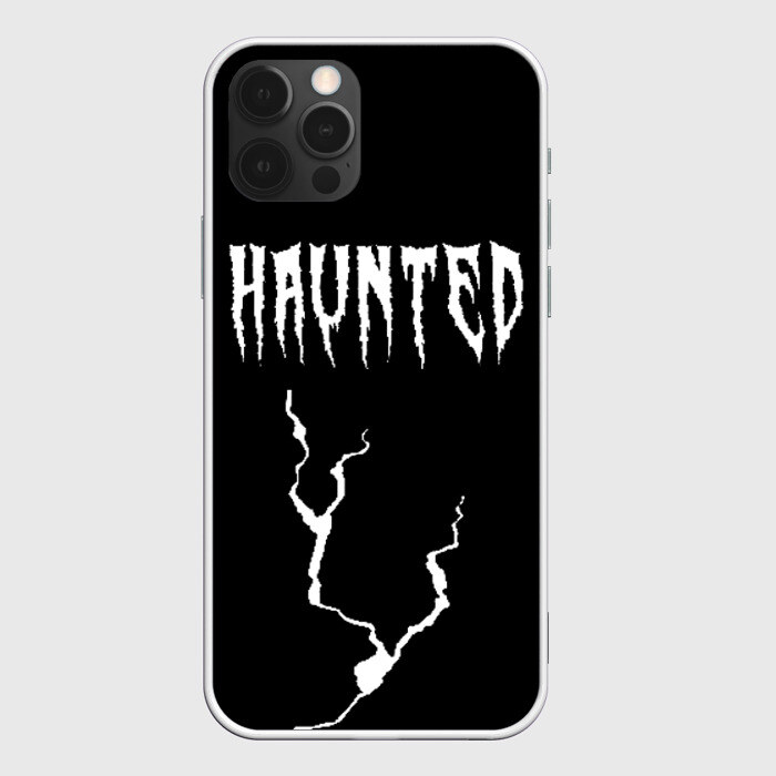 Чехол для iPhone 12 Pro Max KIZARU - HAUNTED FAMILY фото