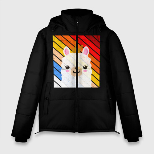 Мужская зимняя куртка 3D Lama фото