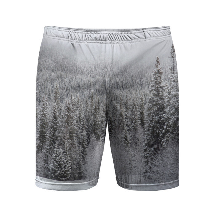 Мужские шорты спортивные Зимняя природа фото