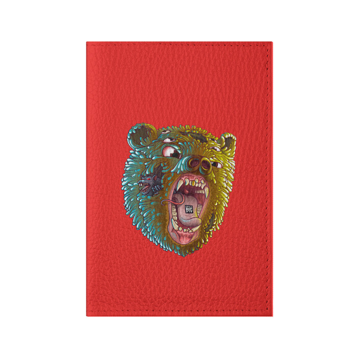 Обложка для паспорта матовая кожа Little Big фото