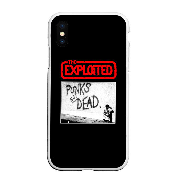 Чехол для iPhone XS Max матовый Punks Not Dead фото