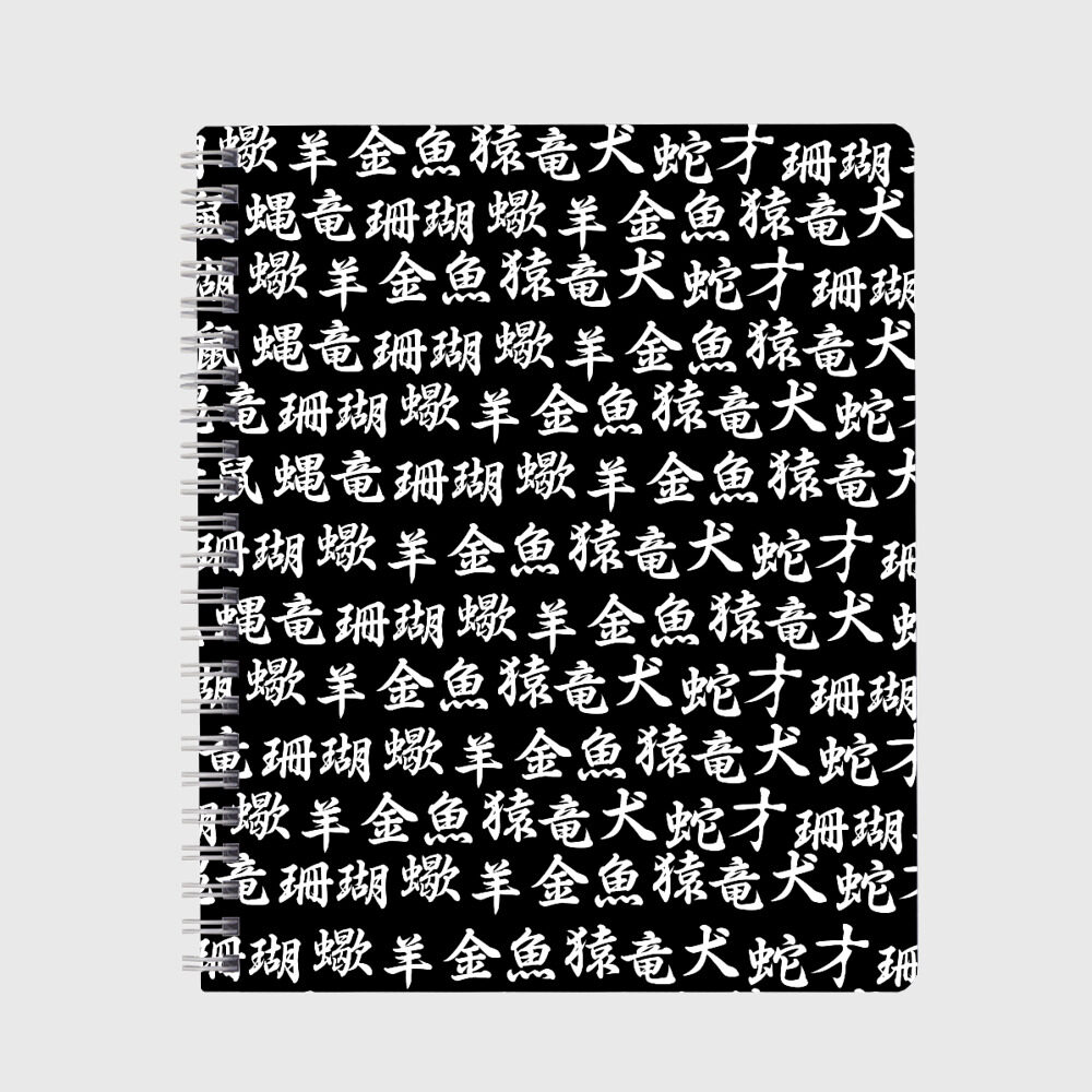 Тетрадь ИЕРОГЛИФЫ фото