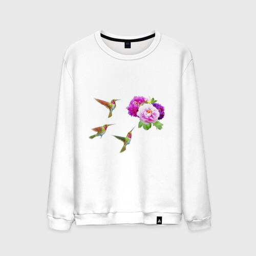 Мужской свитшот хлопок Колибри фото