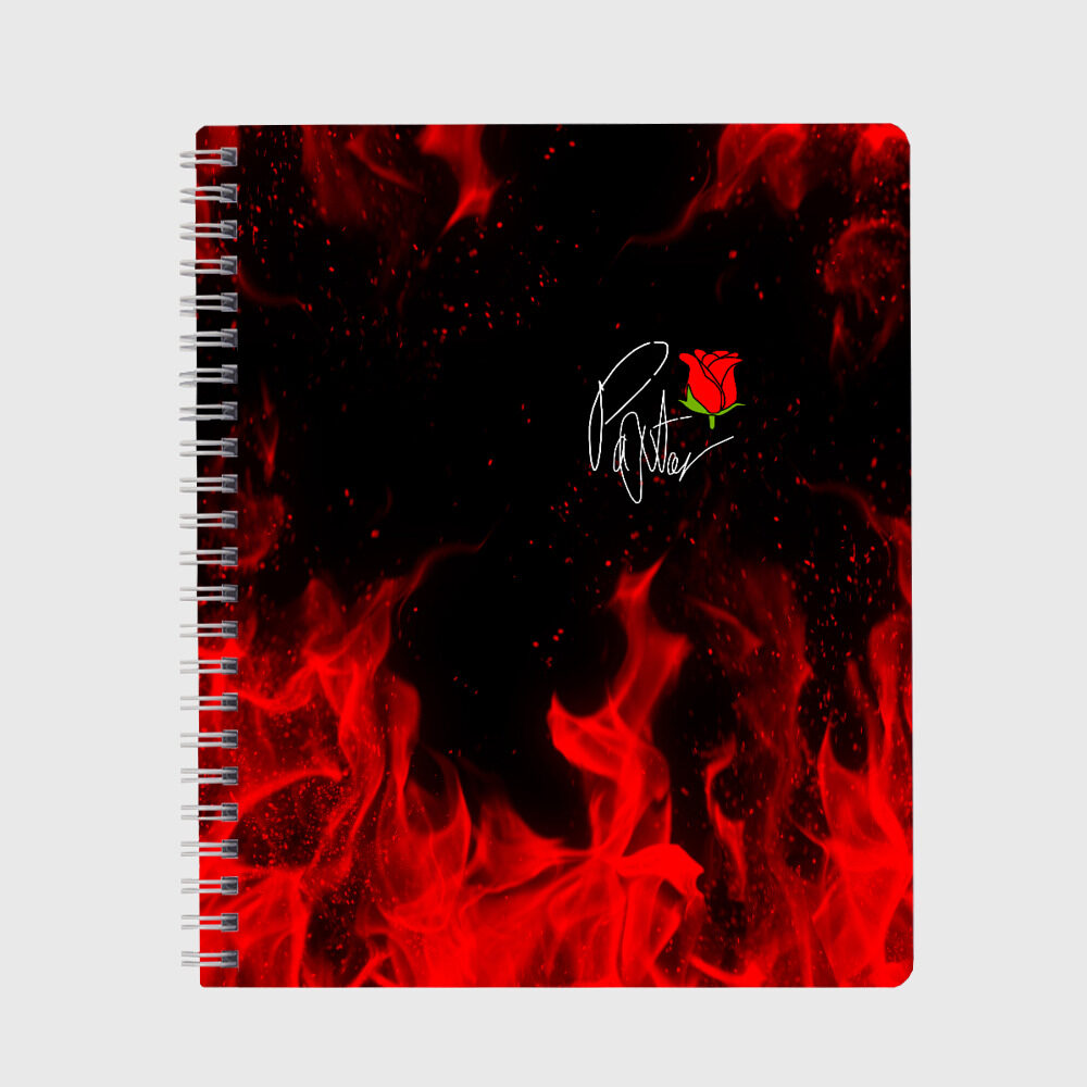 Тетрадь PAYTON MOORMEIER - ТИКТОК фото