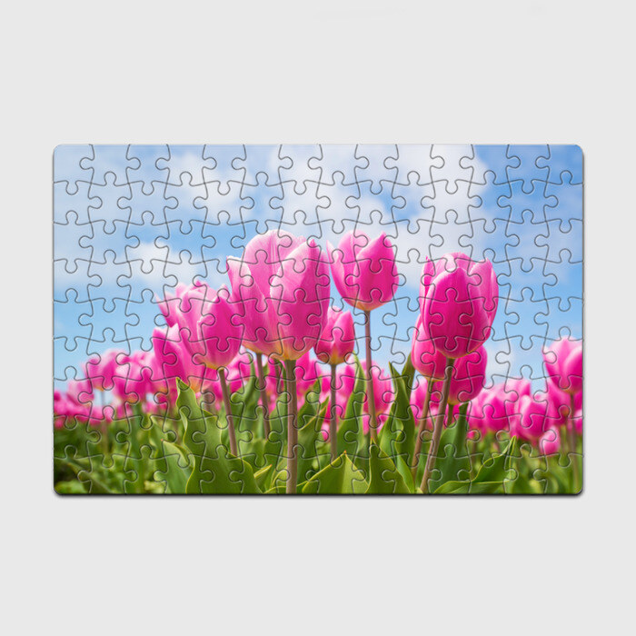 Пазл магнитный 126 элементов Розовые тюльпаны фото