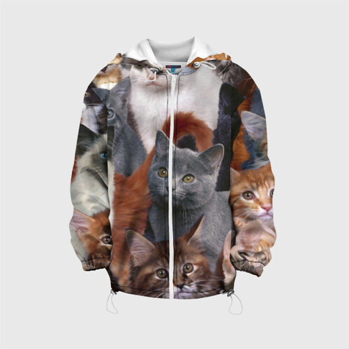 Детская куртка 3D КОТЯТКИ фото