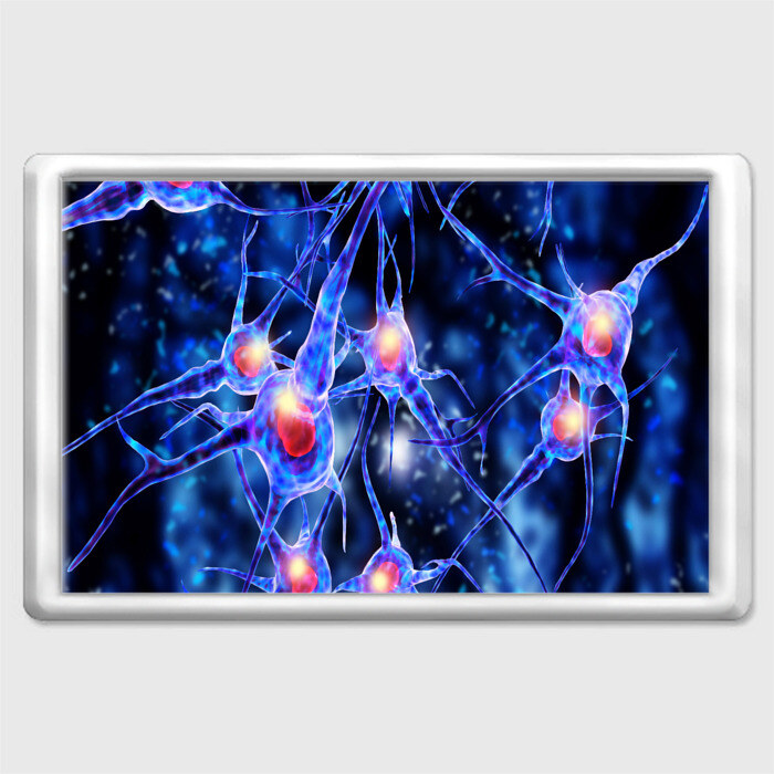 Магнит 45*70 НЕРВЫ фото