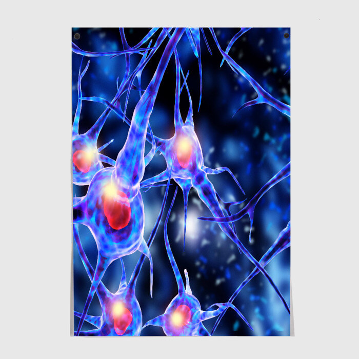 Постер НЕРВЫ фото