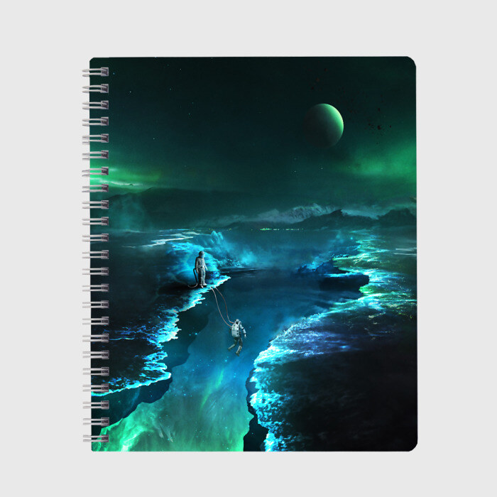 Тетрадь ВЫЖИВШИЙ(S) фото