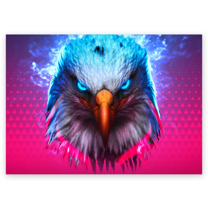 Поздравительная открытка Взгляд орла (Eagle gaze) фото