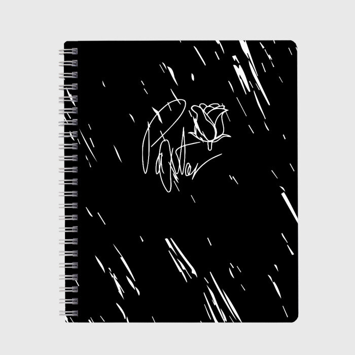 Тетрадь ТикТокер - Payton Moormeie фото