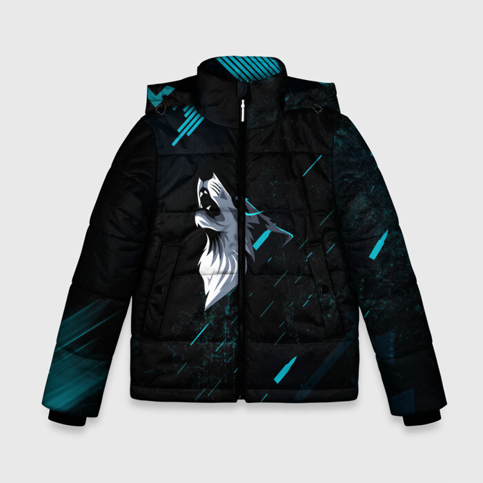 Зимняя куртка для мальчиков 3D Sky Wolf фото
