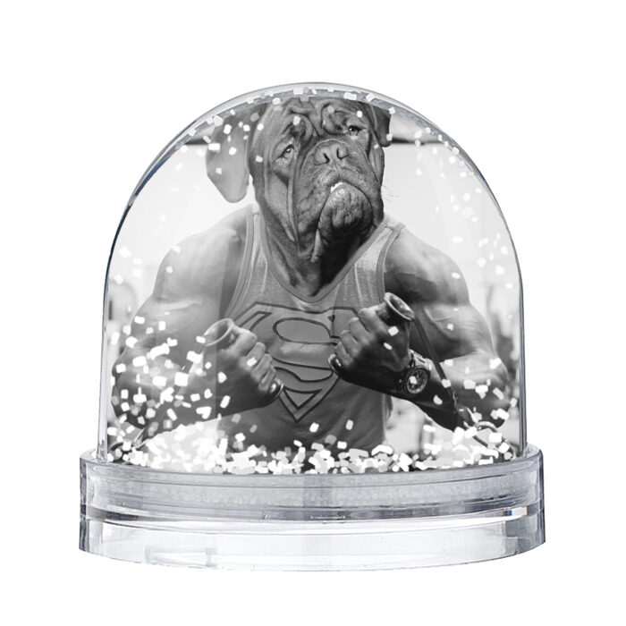 Снежный шар Бодибилдинг фото