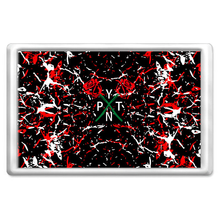 Магнит 45*70 ТИКТОКЕР - PAYTON MOORMEIE. фото