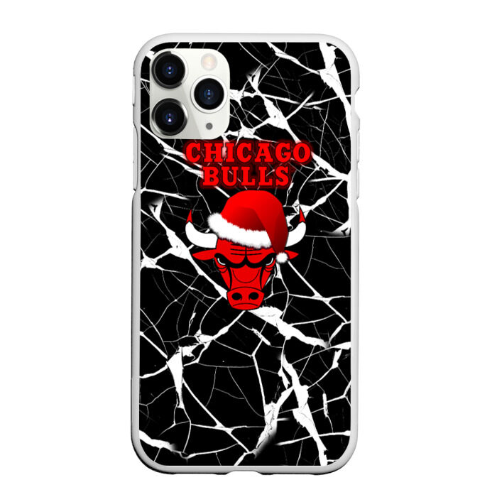 Чехол для iPhone 11 Pro матовый Chicago Bulls фото