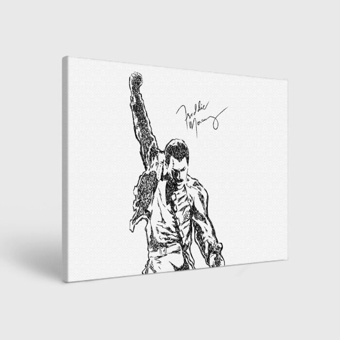 Холст прямоугольный Freddie Mercury фото