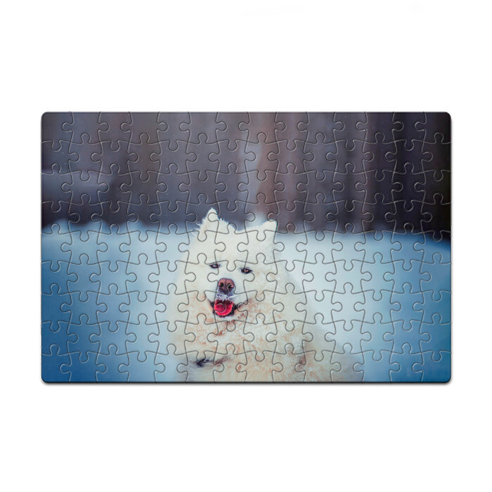 Пазл магнитный 126 элементов САМОЕД фото