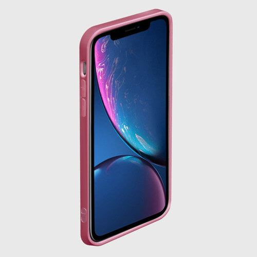 Чехол для iPhone 12 Pro Max ЗЕНИЦУ И ИНОСКЕ фото