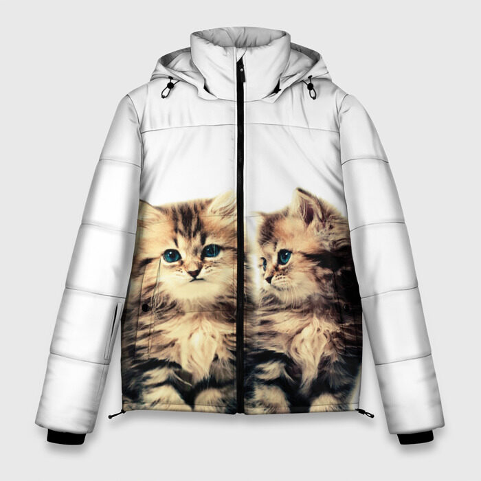 Мужская зимняя куртка 3D котята фото