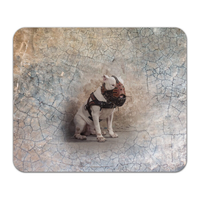 Коврик для мышки прямоугольный Бойцовый бультерьер фото