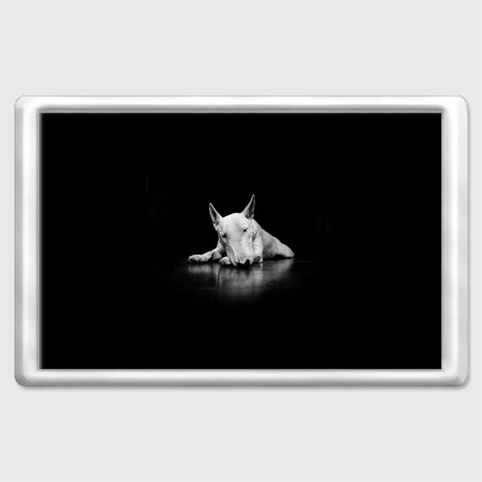 Магнит 45*70 Puppy фото