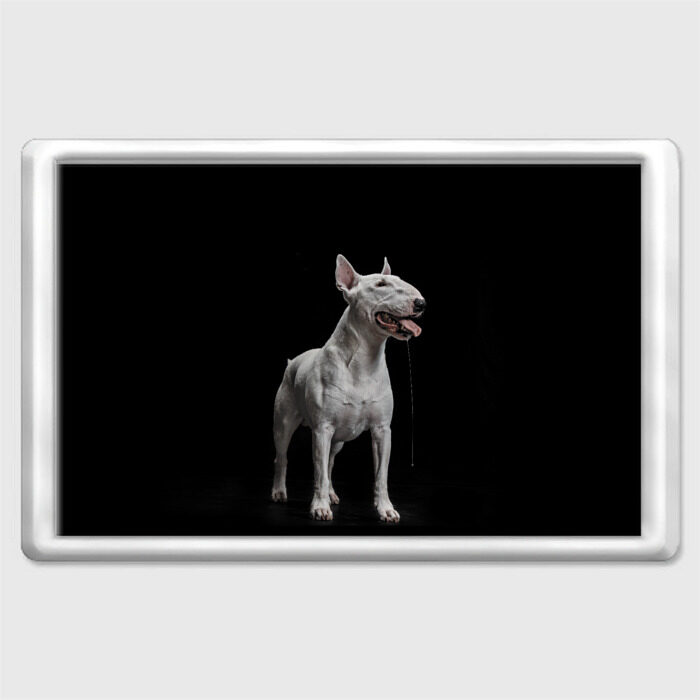 Магнит 45*70 Bully фото