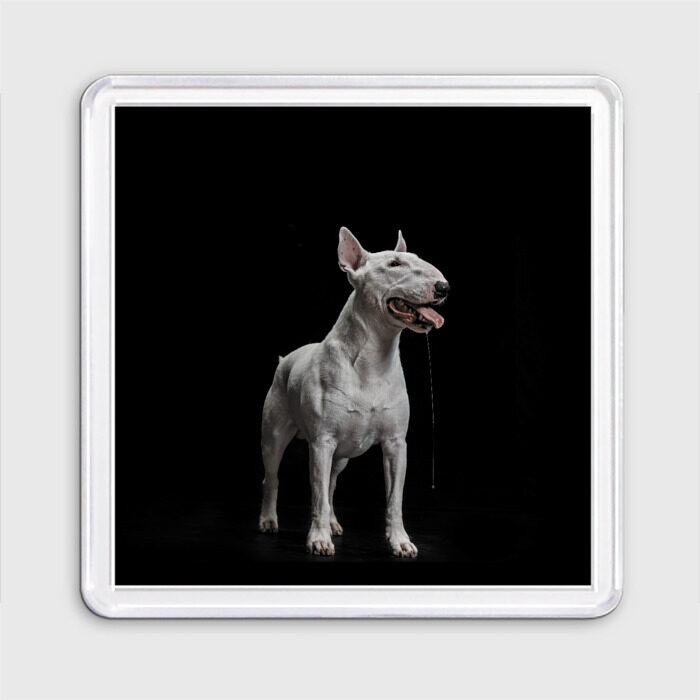 Магнит 55*55 Bully фото