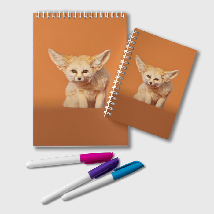 Блокнот Забавный лисенок фото