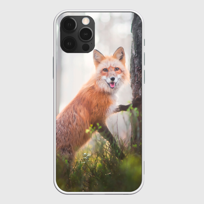 Чехол для iPhone 12 Pro Лисица фото
