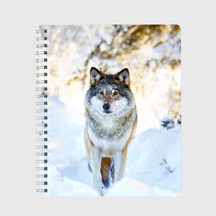 Тетрадь Я зимой фото