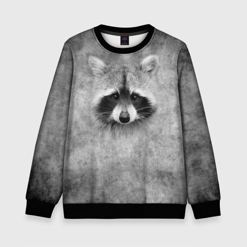 Детский свитшот 3D Енот фото