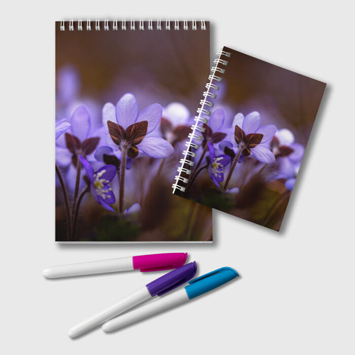 Блокнот хрупкий цветок фиалка фото