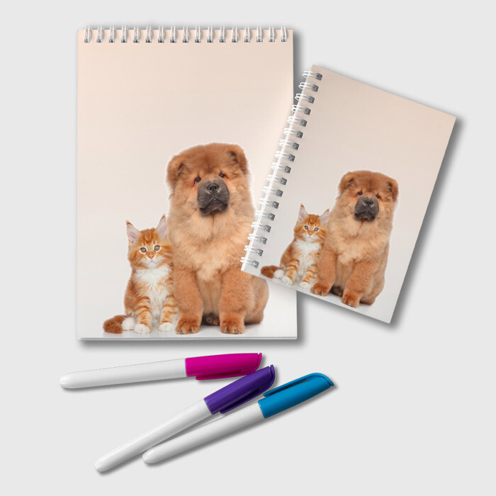 Блокнот щенок и котенок друзья фото