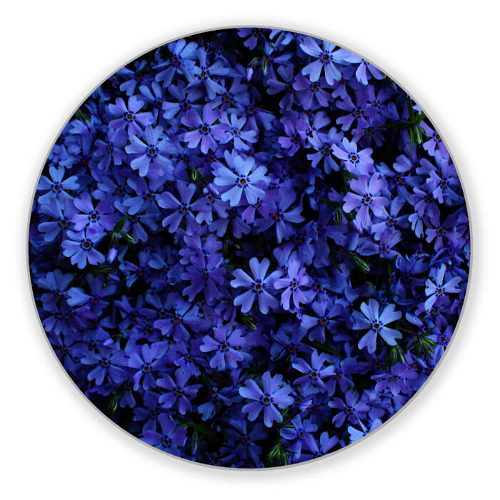 Коврик для мышки круглый ЦВЕТЫ | 8 МАРТА фото