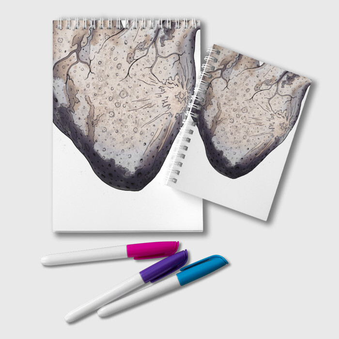 Блокнот Сердце-луна фото