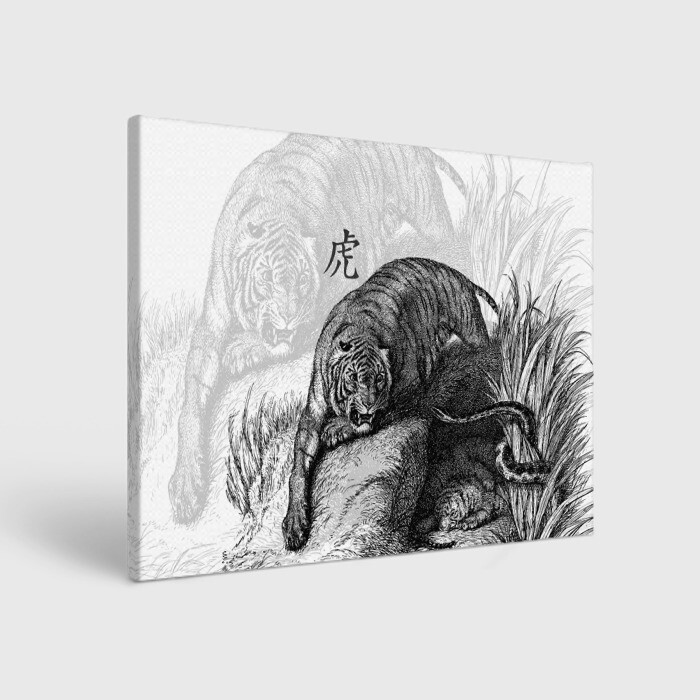 Холст прямоугольный Тигр и змея фото