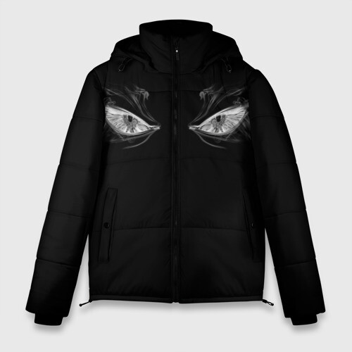 Мужская зимняя куртка 3D Smoke Eyes фото