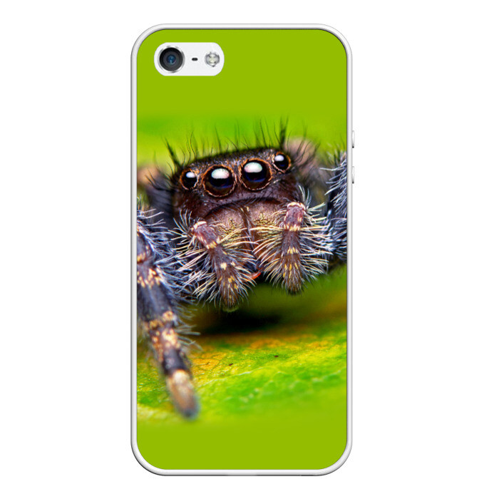 Чехол для iPhone 5/5S матовый ПАУК МАКРО фото