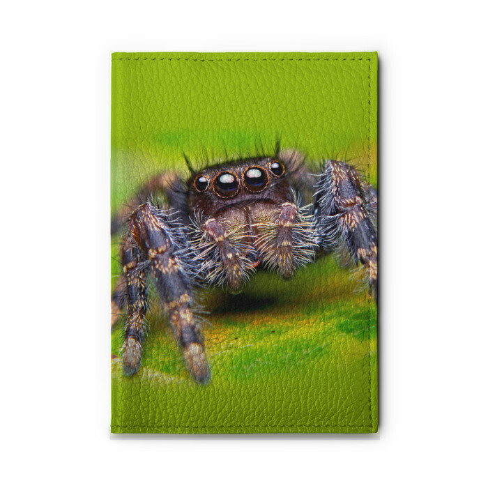 Обложка для автодокументов ПАУК МАКРО фото