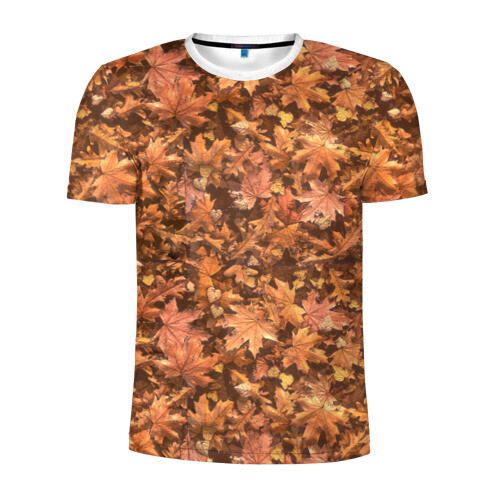 Мужская футболка 3D спортивная Осеннее листопад фото