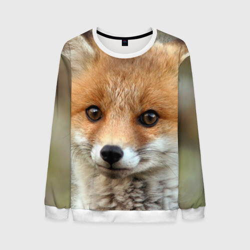Мужской свитшот 3D Миленький лисенок фото