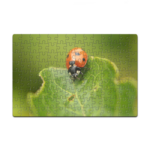 Головоломка Пазл магнитный 126 элементов Божья коровка фото