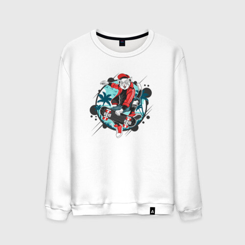 Мужской свитшот хлопок Кот на скейте фото