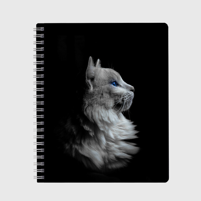 Тетрадь Голубоглазый гот фото